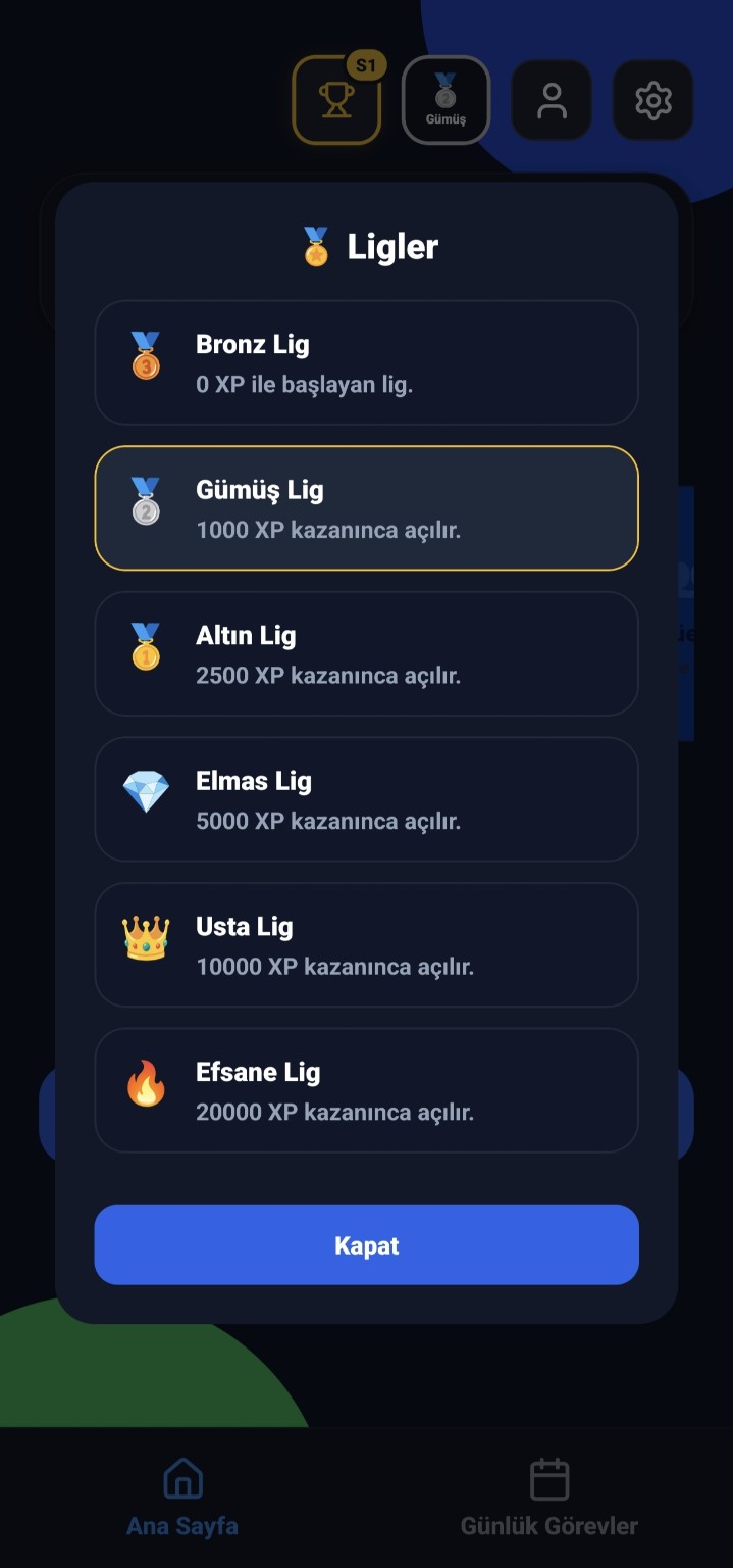 FlagNova lig sistemi